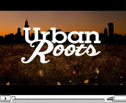 urban roots